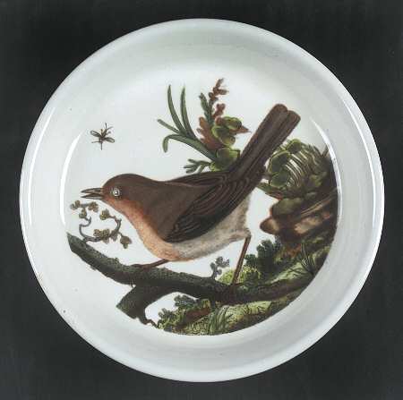 Birds of Britain Coaster