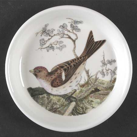 Birds of Britain Coaster