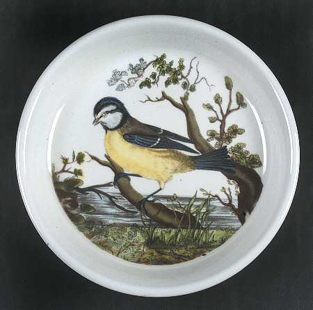 Birds of Britain Coaster