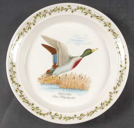 Birds of Britain Salad Plate