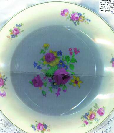 10649 Dinner Plate
