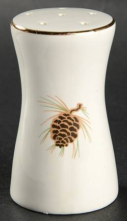 PCP120 Salt Shaker