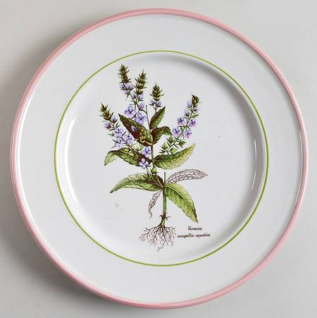 PRL8 Salad Plate