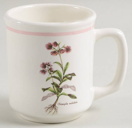 PRL8 Mug