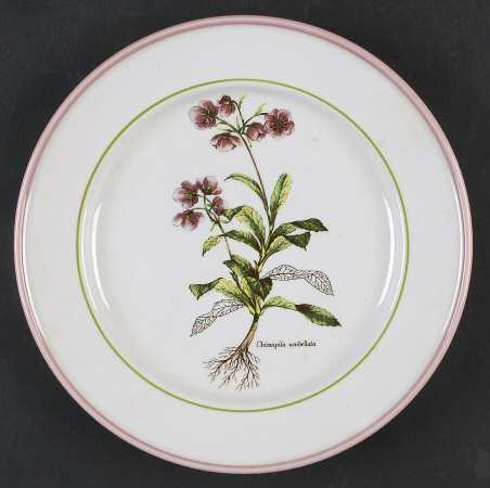 PRL8 Salad Plate