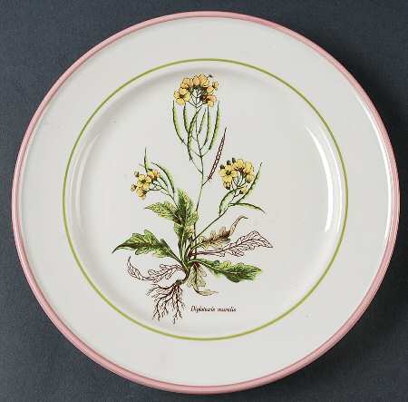 PRL8 Salad Plate