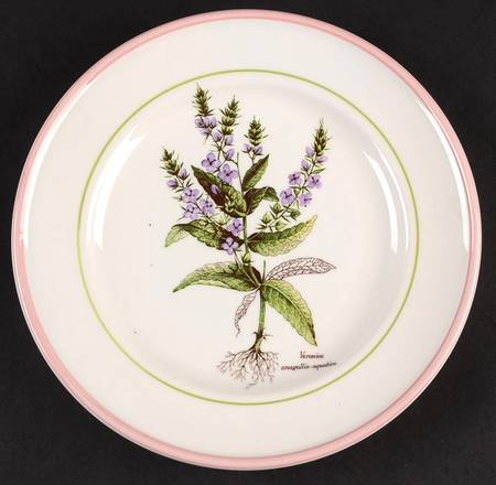PRL8 Salad Plate