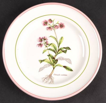 PRL8 Salad Plate