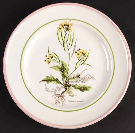 PRL8 Salad Plate