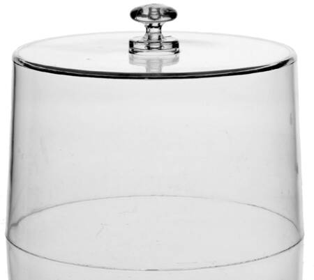 Winterwood Green Plastic Dome for Cheese Dish w/Ceramic Base