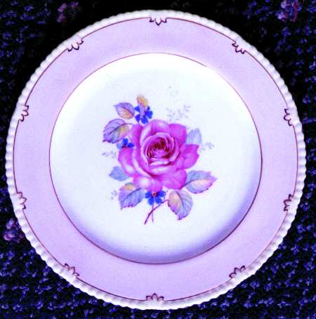 PAR35 Dinner Plate
