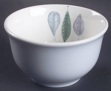 Seasons Leaves Rice Bowl