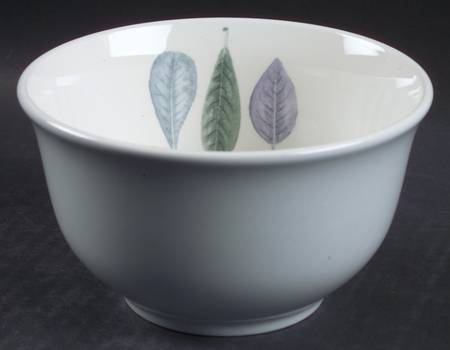 Seasons Leaves Rice Bowl