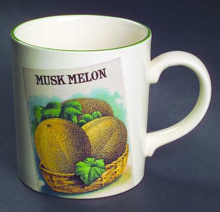 Seed Packets Mug