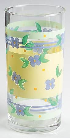 Summer Breeze 14 Oz Glassware Tumbler by Pfaltzgraff