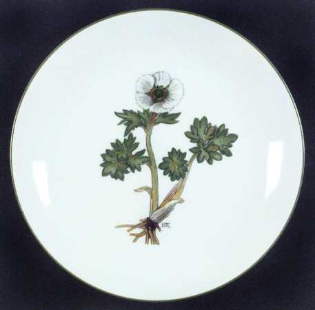 Mountain Flower Series Bread & Butter Plate