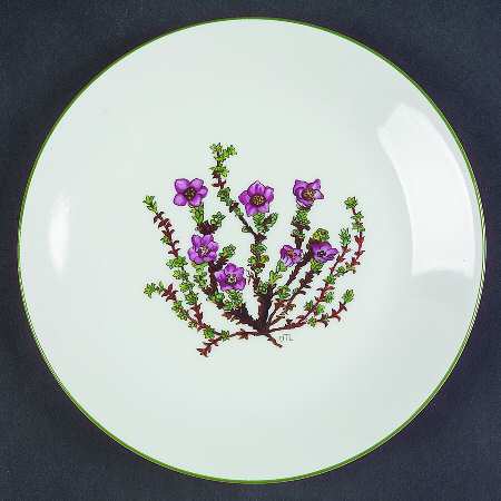 Mountain Flower Series Bread & Butter Plate