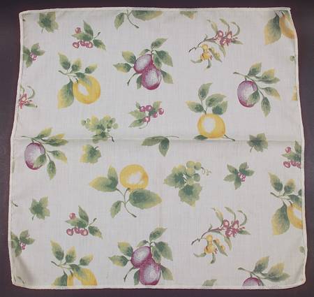 Jamberry Cloth Napkin