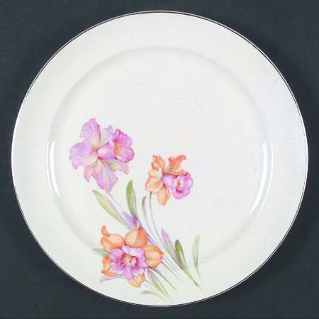 Jonquil (Smooth, Platinum) by Paden City