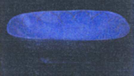 Etchings Indigo 11" Rectangular Vegetable Bowl