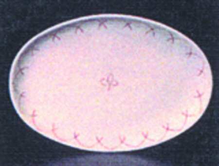 Etchings Vanilla 18" Oval Serving Platter