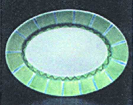 White Point Garden 15" Oval Serving Platter