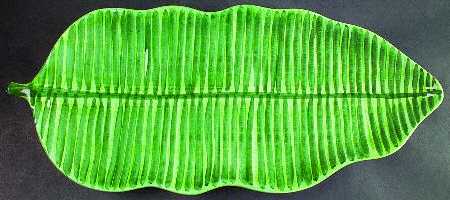 Monkey Business 20" Leaf Shaped Platter