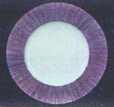 Sereno Khaki Plum Service Plate (Charger)