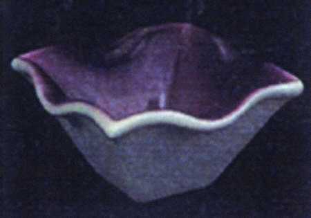 Ventosa Plum Condiment Bowl