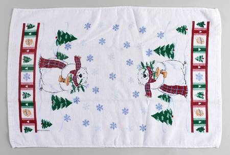 Snow Bear Cloth Dish Towel