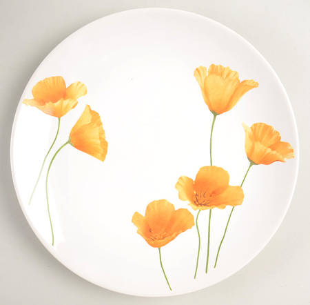 Sunshine Salad Plate