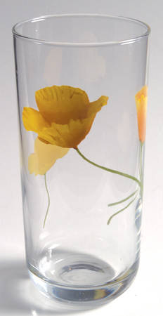 Sunshine 17 Oz Glassware Cooler