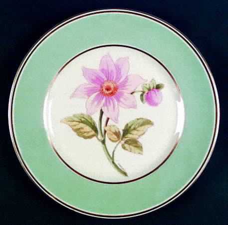 1019-104 Dinner Plate