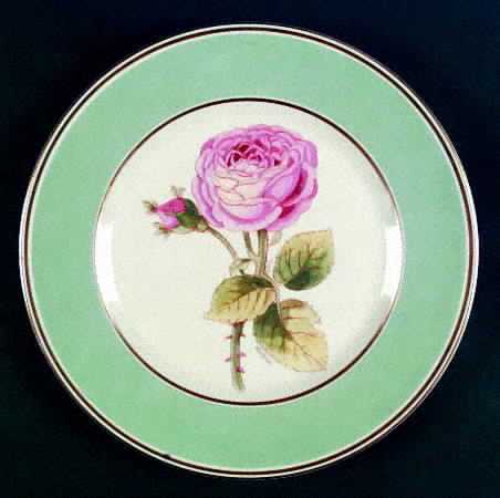 1019-104 Dinner Plate