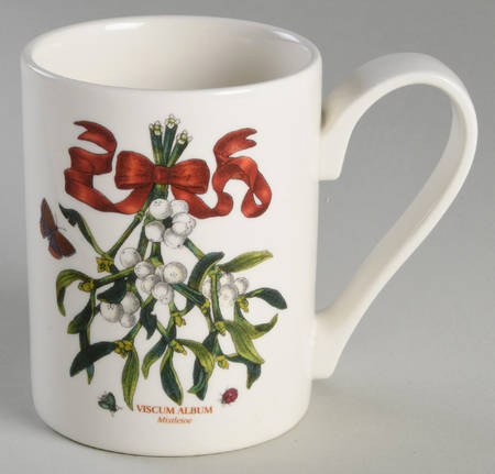 Botanic Garden Mistletoe Mug