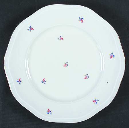 PIR81 Dinner Plate