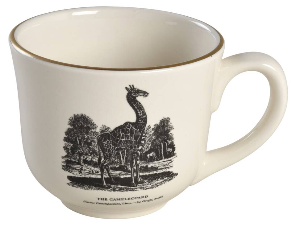 Bewick's Beastes Flat Cup