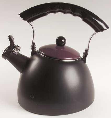 Tandem Metal Whistler Kettle & Lid