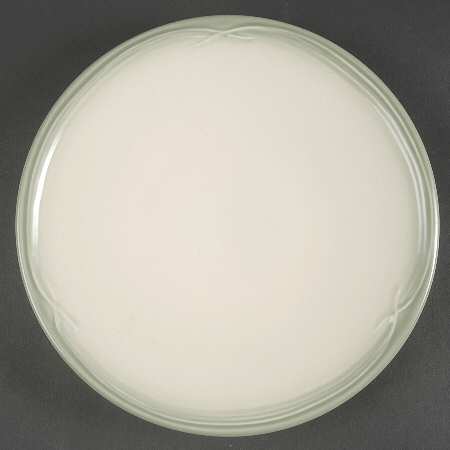 Winterwood (Canvas Tan) 9" Round Buffet Plate