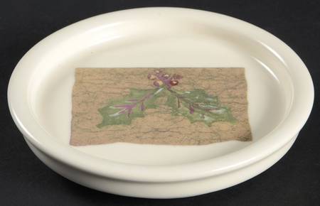 Holiday Spice Coaster