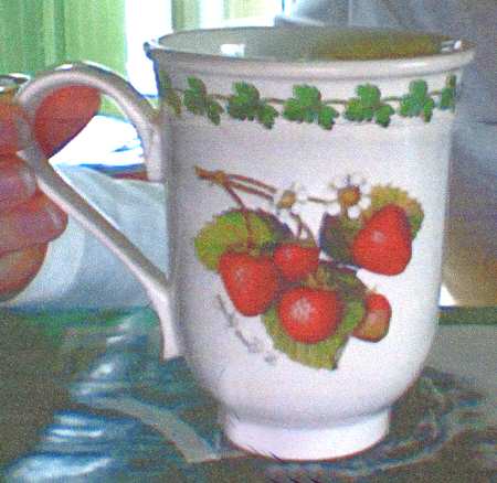 Strawberry Fair Beaker (English Mug)