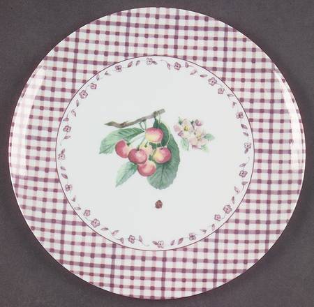 Delicious Melamine Salad Plate by Pfaltzgraff