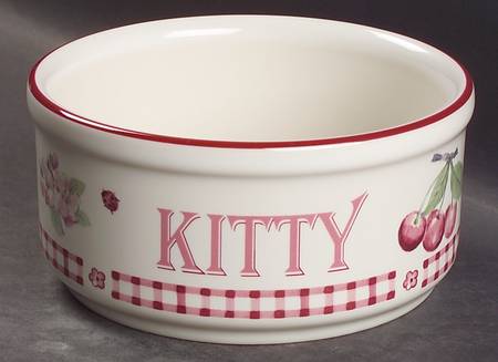 Delicious Kitty Pet Bowl