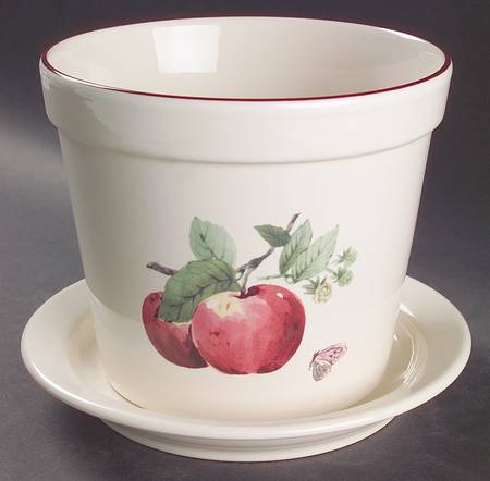 Delicious 5" Flower Pot & Underplate