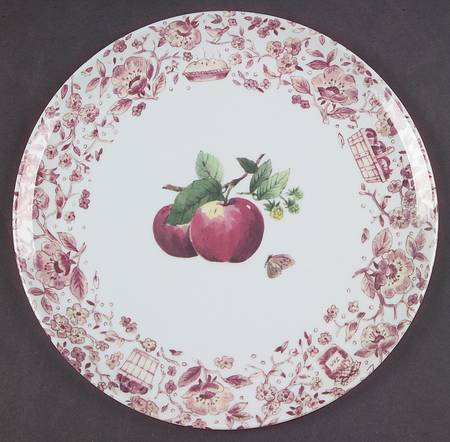 Delicious Melamine Dinner Plate by Pfaltzgraff