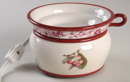 Delicious Electric Wax Tart Burner/Warmer