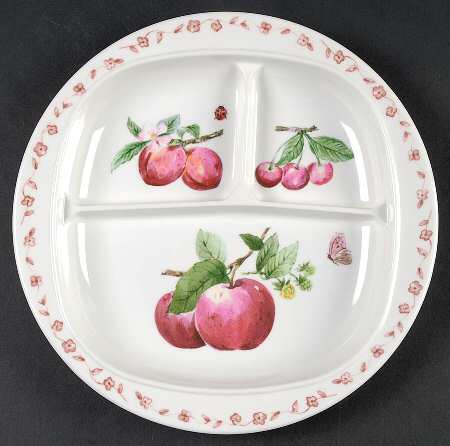 Delicious Melamine Adult Divided Plate by Pfaltzgraff