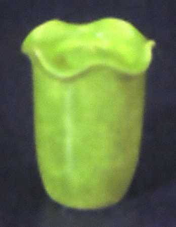 Onde Verde (Medium Green) Pepper Shaker