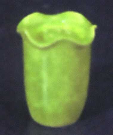 Onde Verde (Medium Green) Salt Shaker