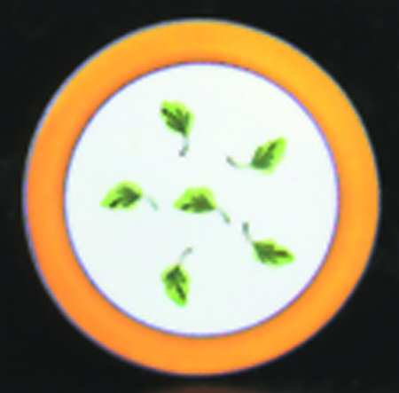 Crispin Trivet